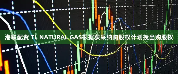 港联配资 TL NATURAL GAS根据获采纳购股权计划授出购股权