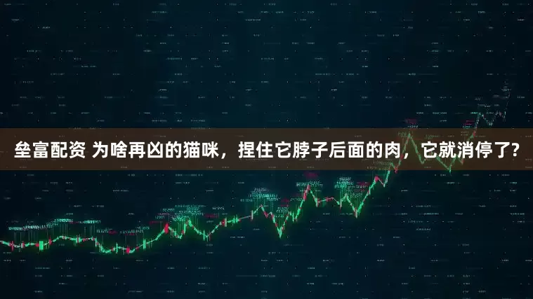 垒富配资 为啥再凶的猫咪，捏住它脖子后面的肉，它就消停了?